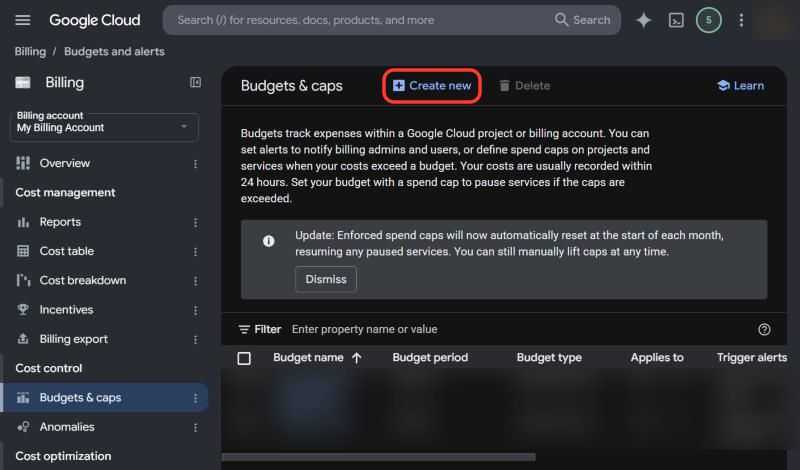 Budgets and caps page with Create new marked